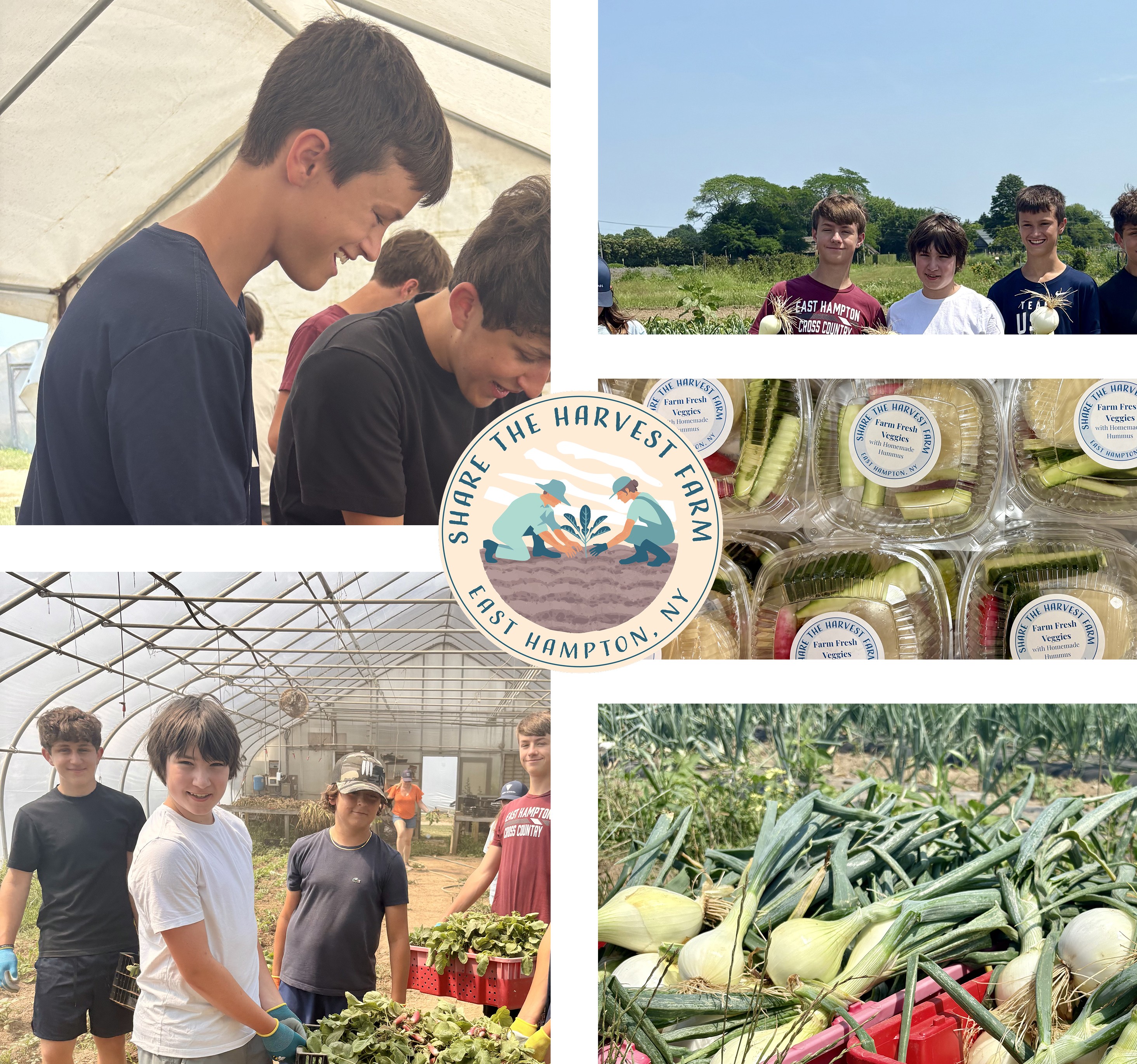 Volunteers at Share the Harvest Farm