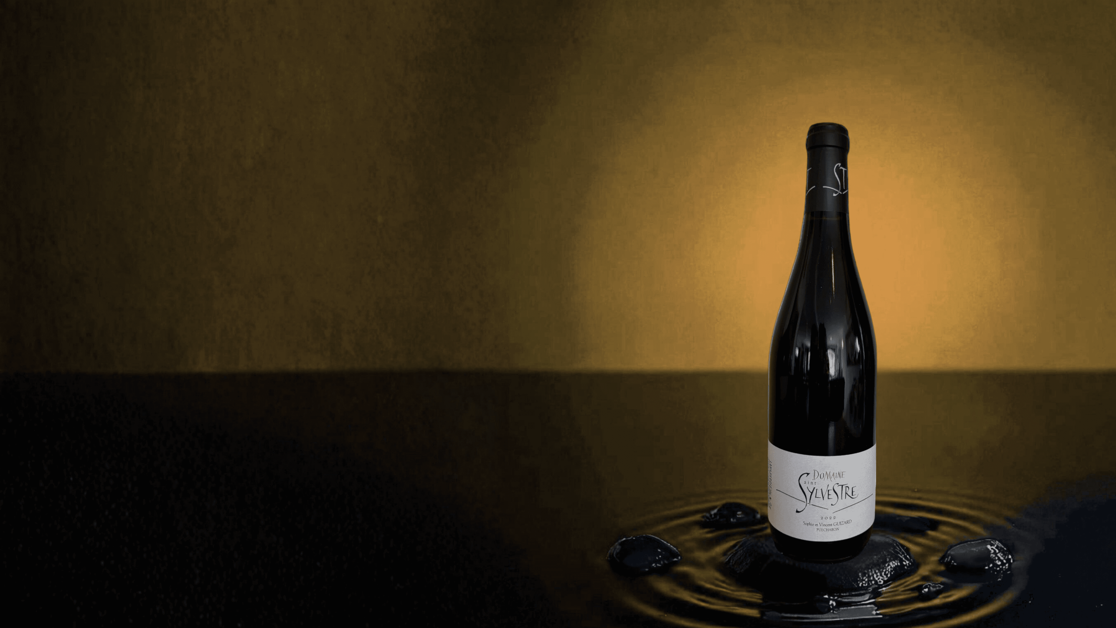Photo de la bouteille "Saint-Sylvestre Rouge" du domaine Saint-Sylvestre sur fond doré 