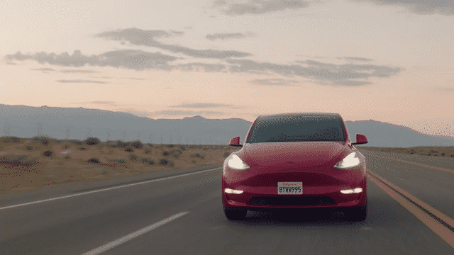 Person, holding a white rose behind his back with one arm on a light blue background