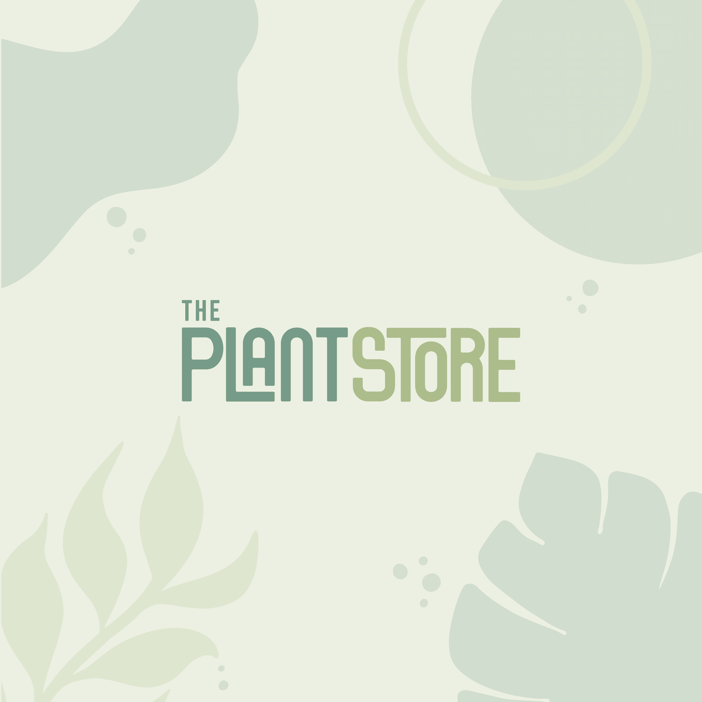 blank mockup with rock