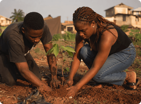 Planting