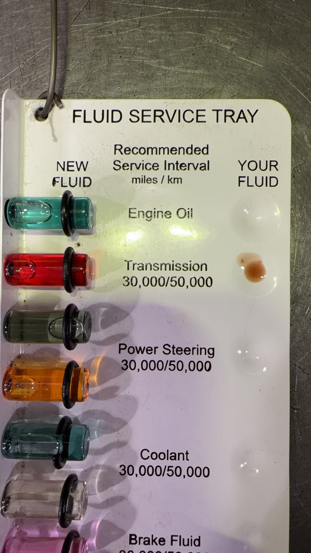 Transmission fluid sample on the shop fluid comparison tray, brown next to the new red reference fluid
