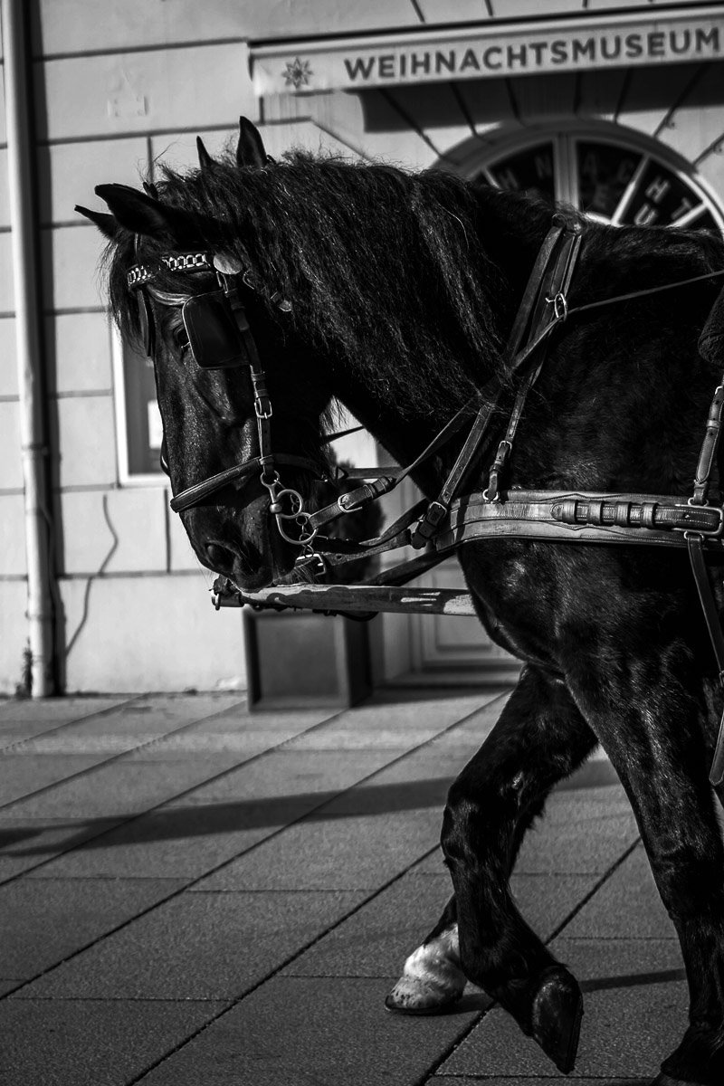 Horse carriages in UNESCO historic Salzburg - Sound of Music destination