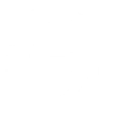 Lil Smoothie Co Logo