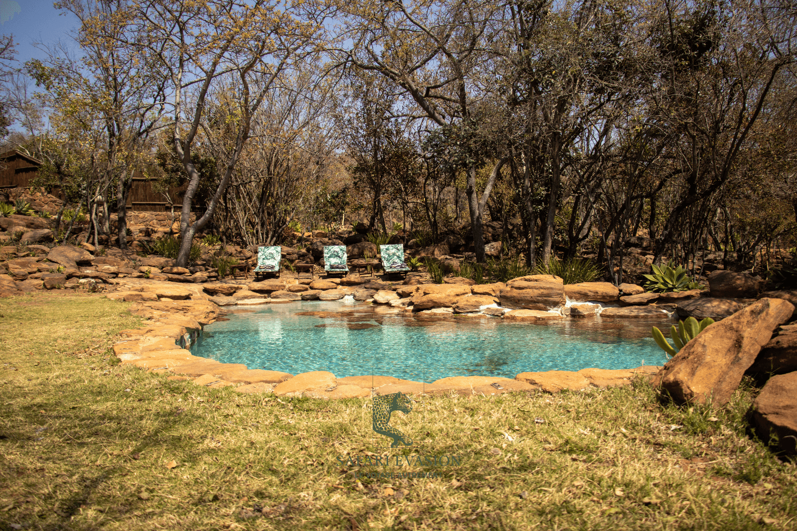 piscine naturelle