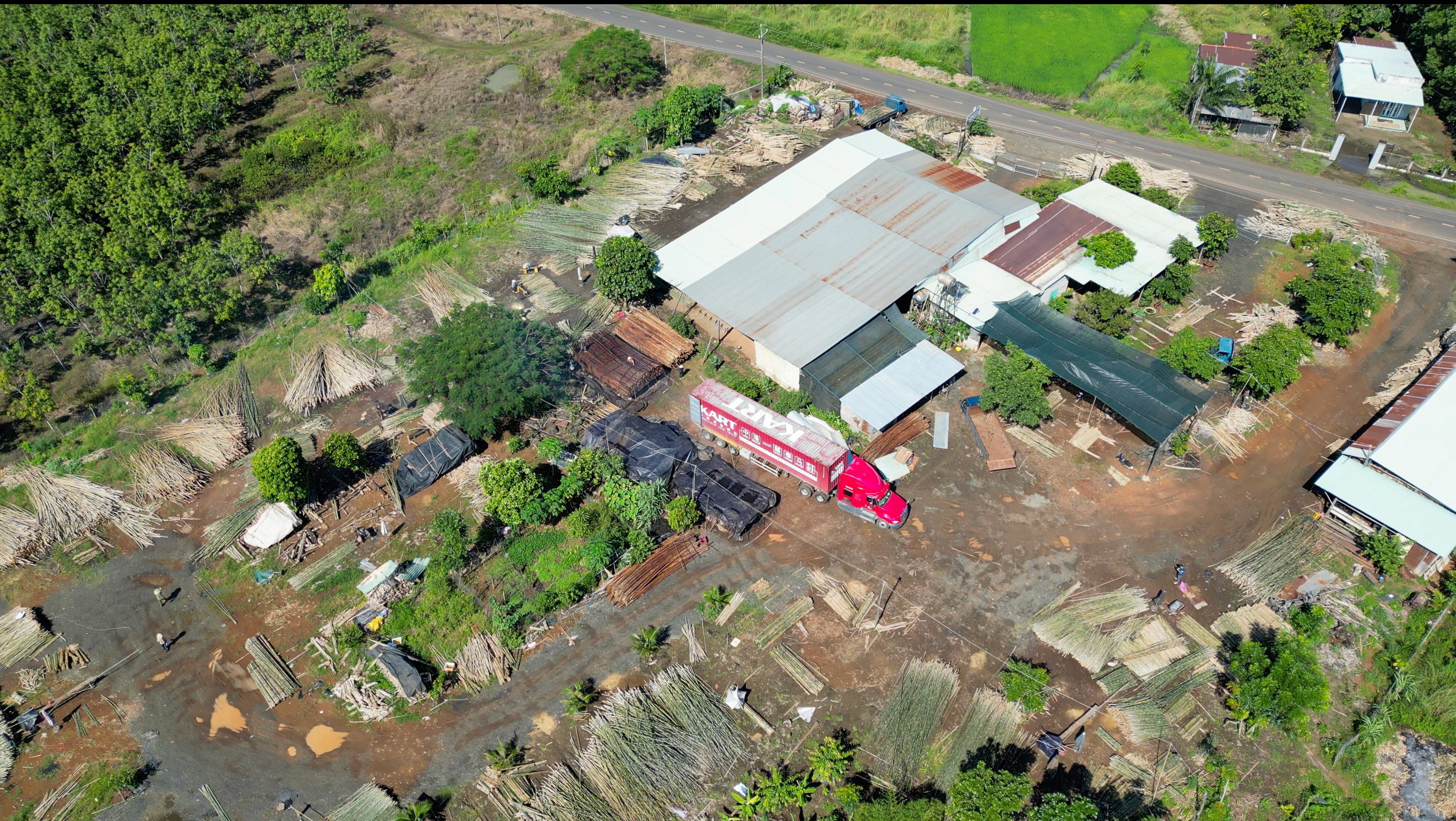 tre-tam-vong-dam-phuong-bui-thanh-thi-quan-ly