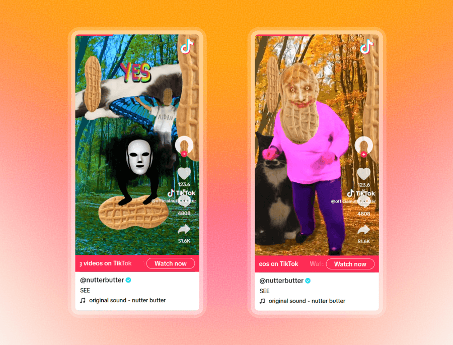 TikTok Ad