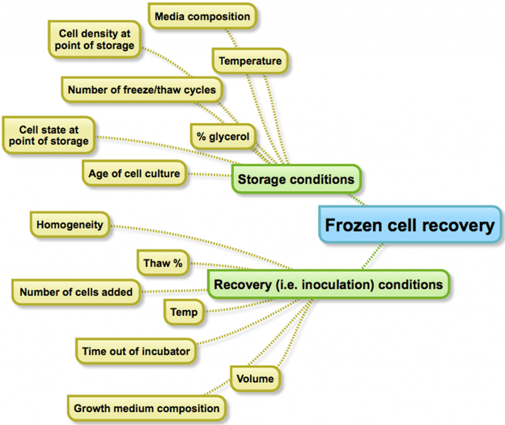 Antha_seedelement_sourcesofvariability-1024x862