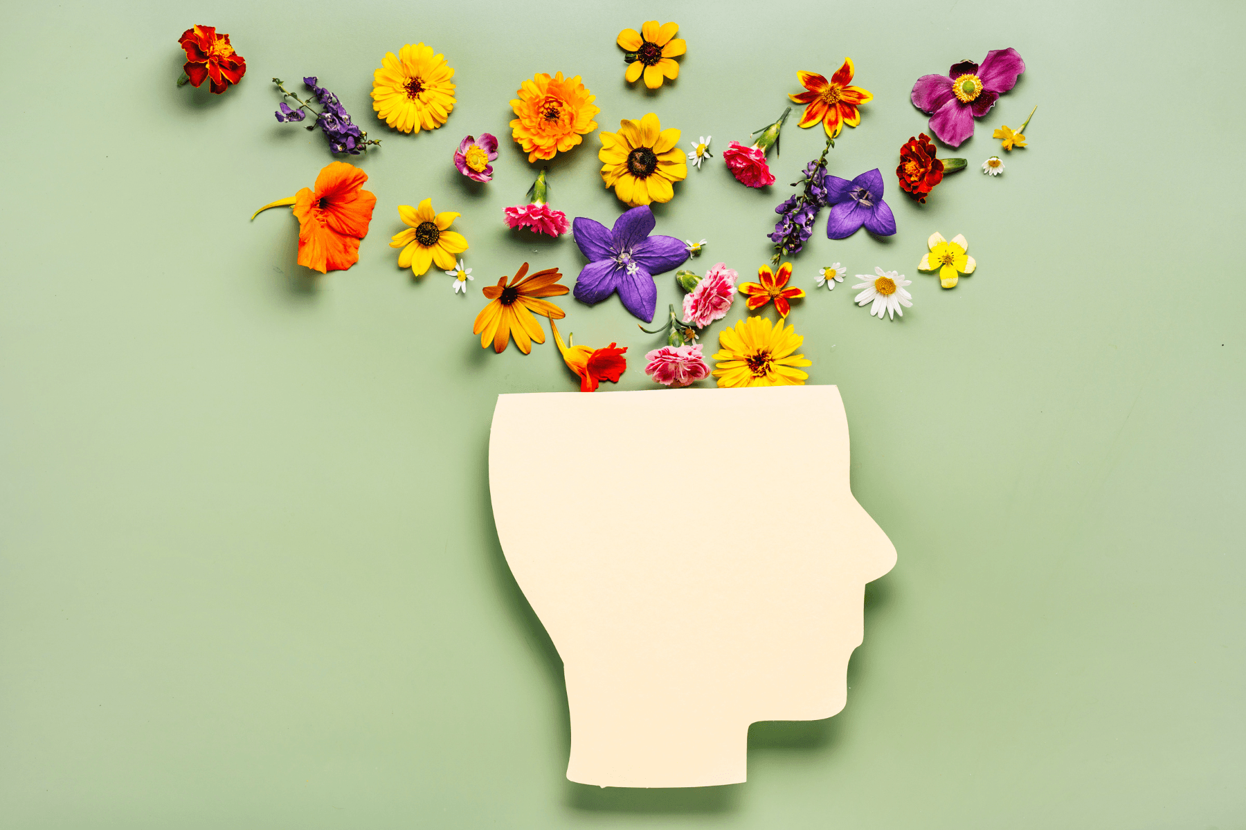 Mental, Emotional, and Stress Resilience: Where Healing Begins