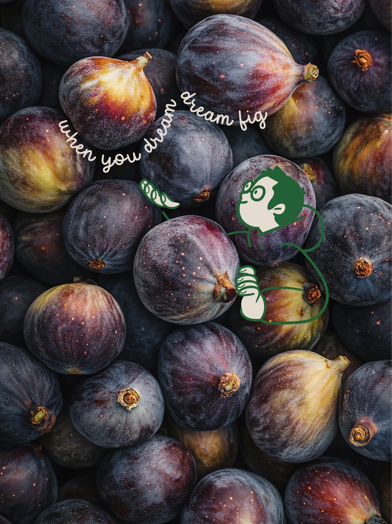 Lowcal Garden fig social content — 'When You Dream, Dream Fig' hand-lettered pun with sleeping character illustration over fresh figs photography — F&B branding by Makers' Studio