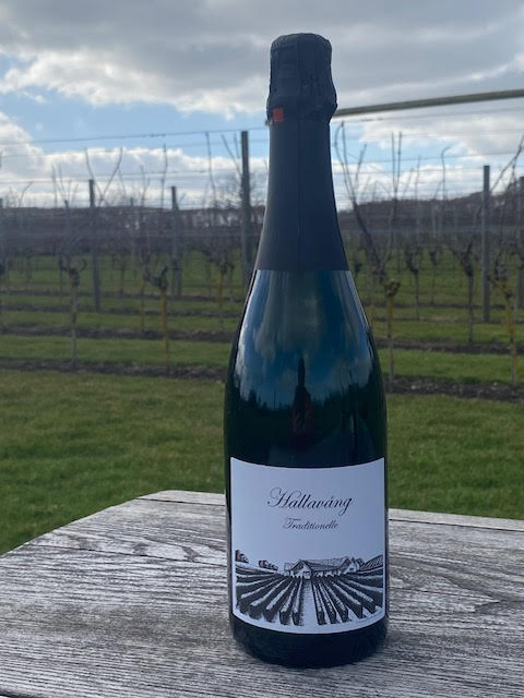 Elara wine pairings: reds for meats, whites for seafood, elevating meals