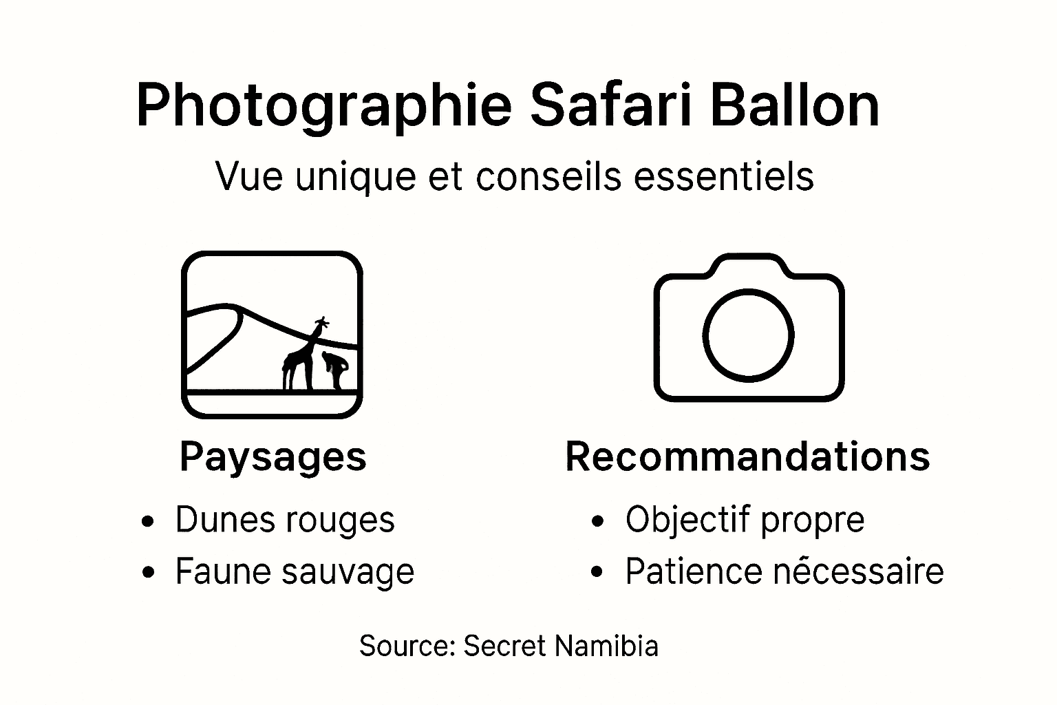 Tout ce qu’il faut savoir sur la photographie aérienne lors d’un safari en montgolfière : infographie pratique