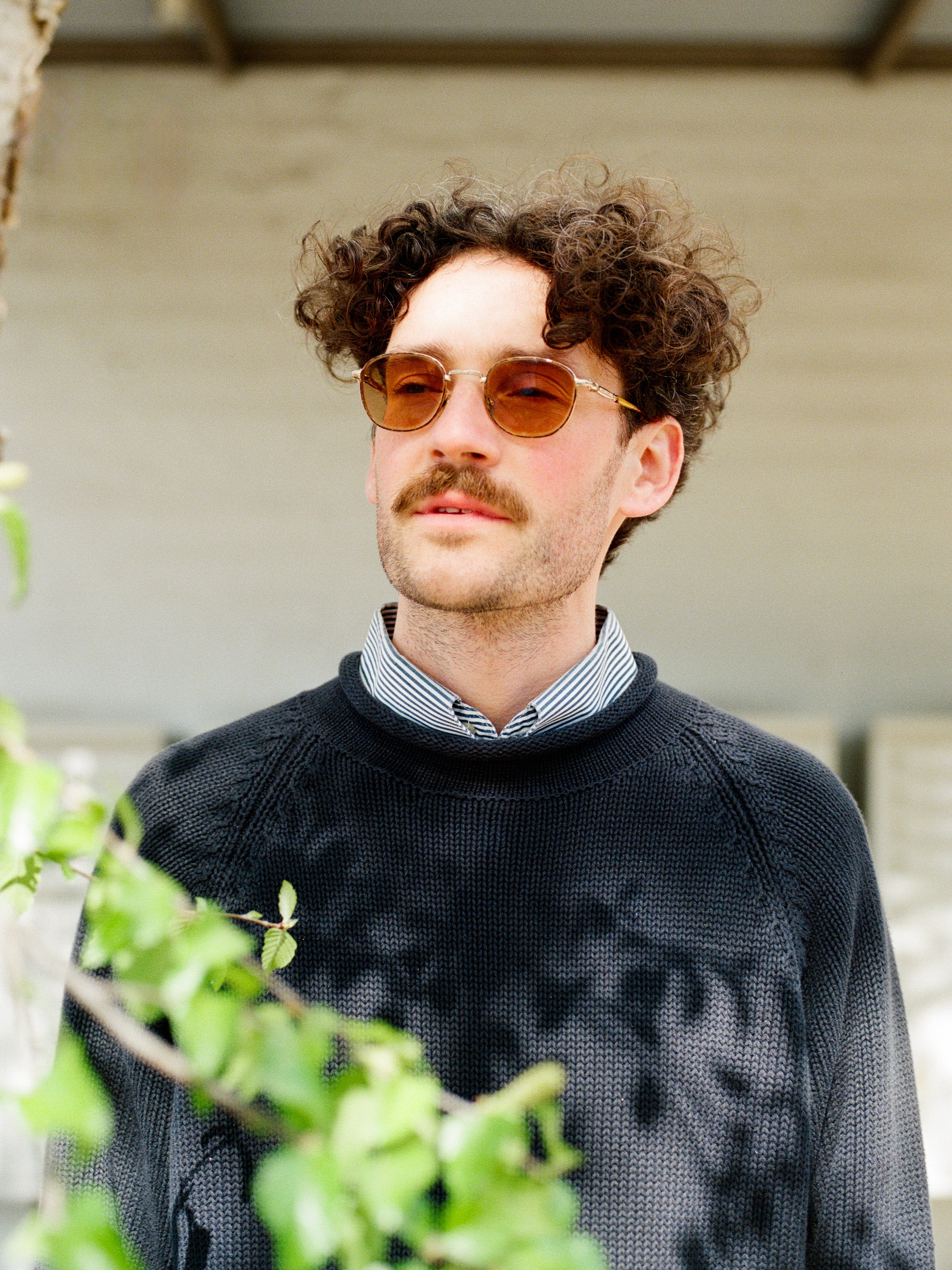 Will Miller