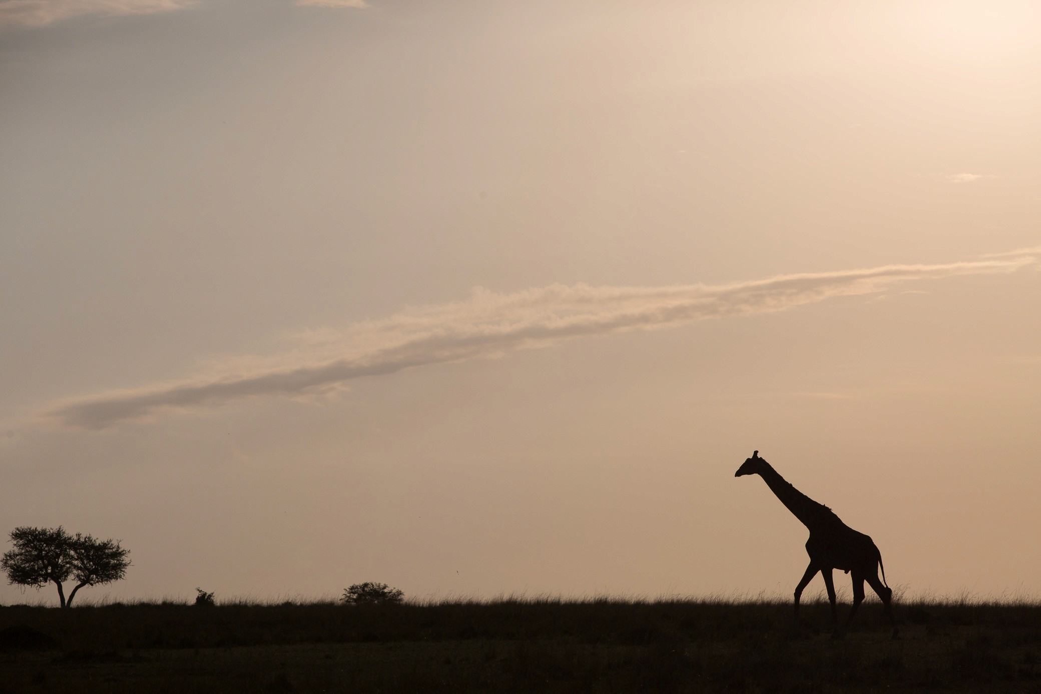 Overland & Photography Tour Overview