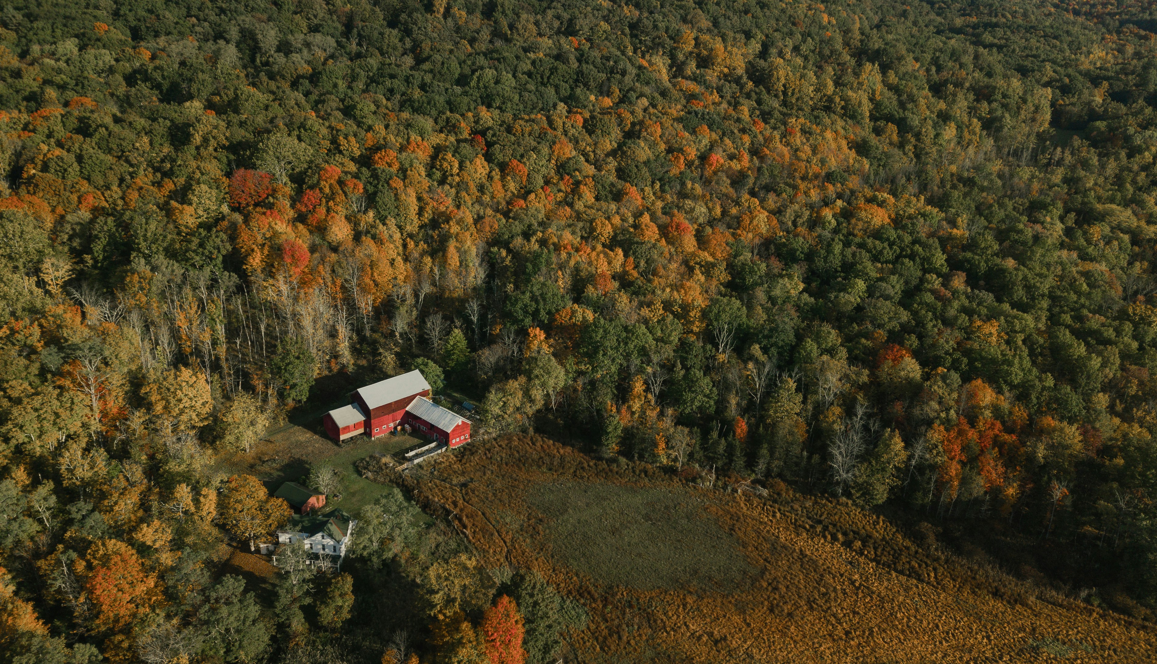 A red barn in autumn woods seen from above