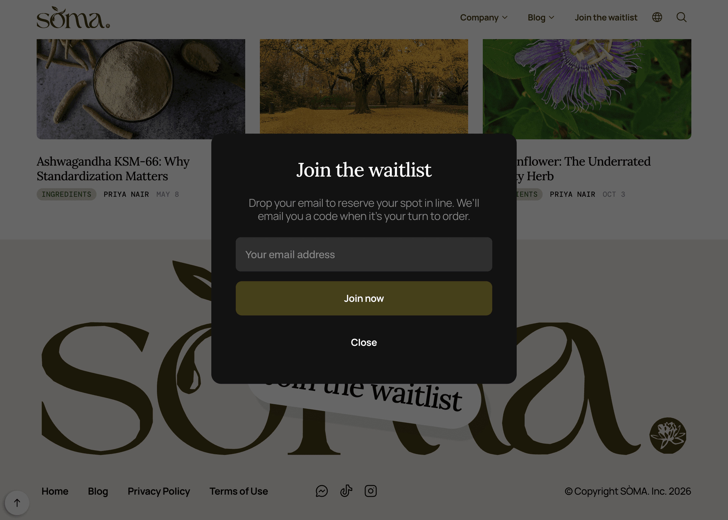 Screenshot of the waitlist modal from the SÒMA. website.