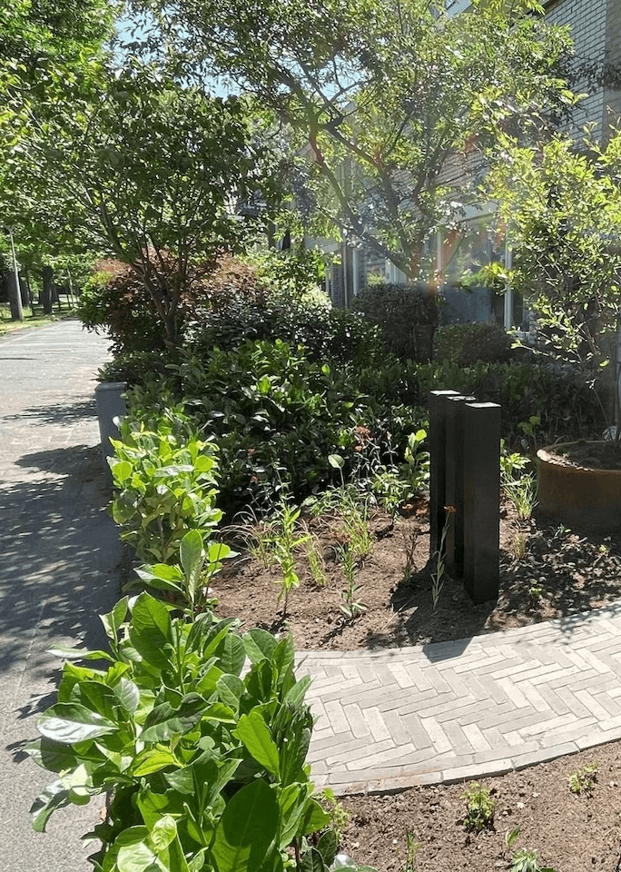 Voortuin gerealiseerd door Art gardens