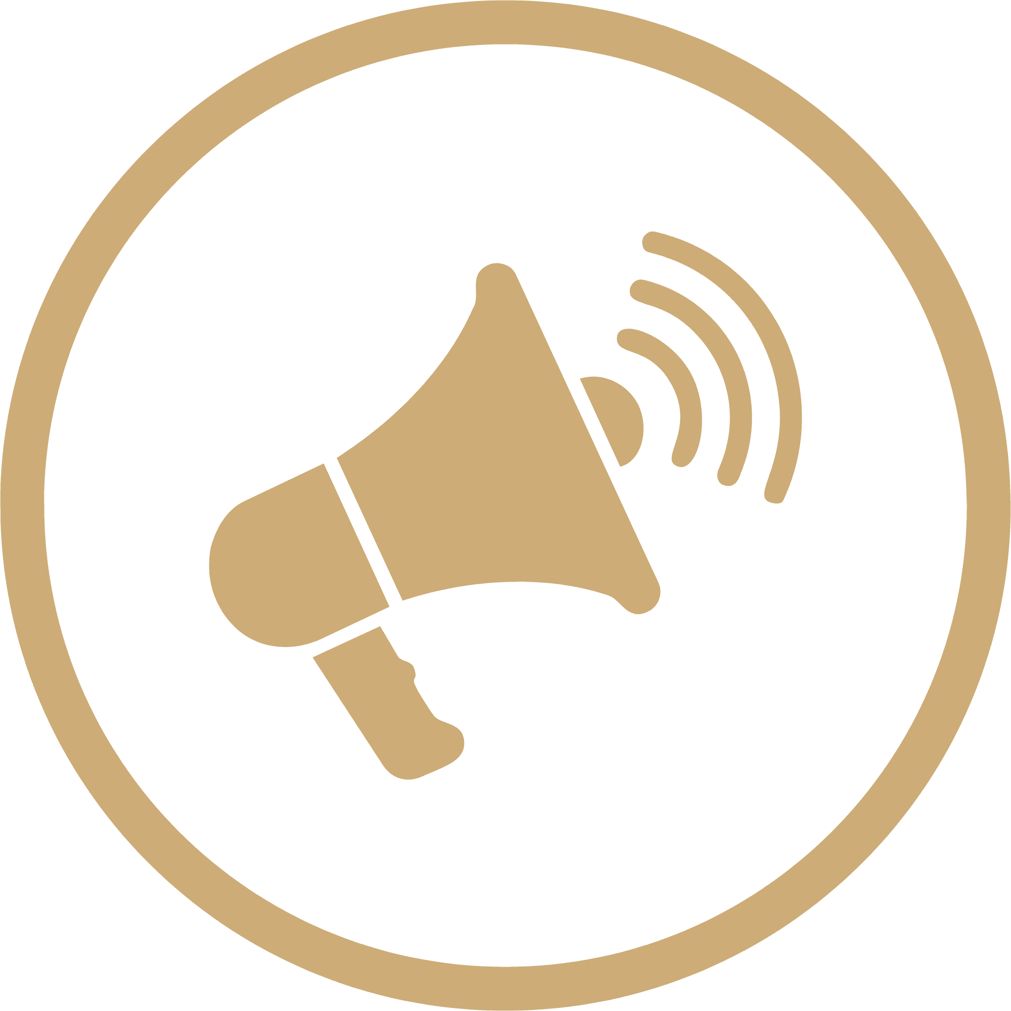 Feature Icon
