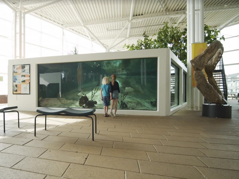 Person in dark clothing standing in moody, atmospheric lighting