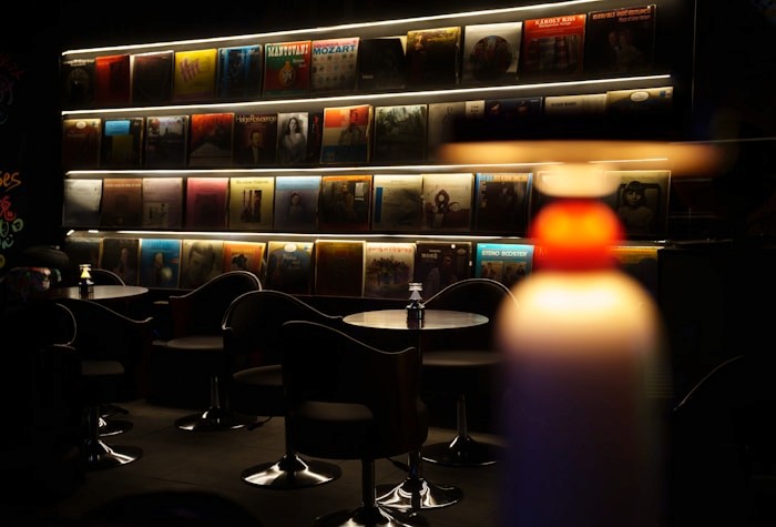Moody vinyl listening bar