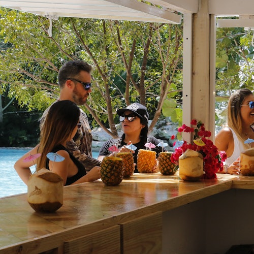 Cuatro personas disfrutando de bebidas servidas en cocos y piñas en un bar al aire libre cerca de una alberca, con árboles de fondo.