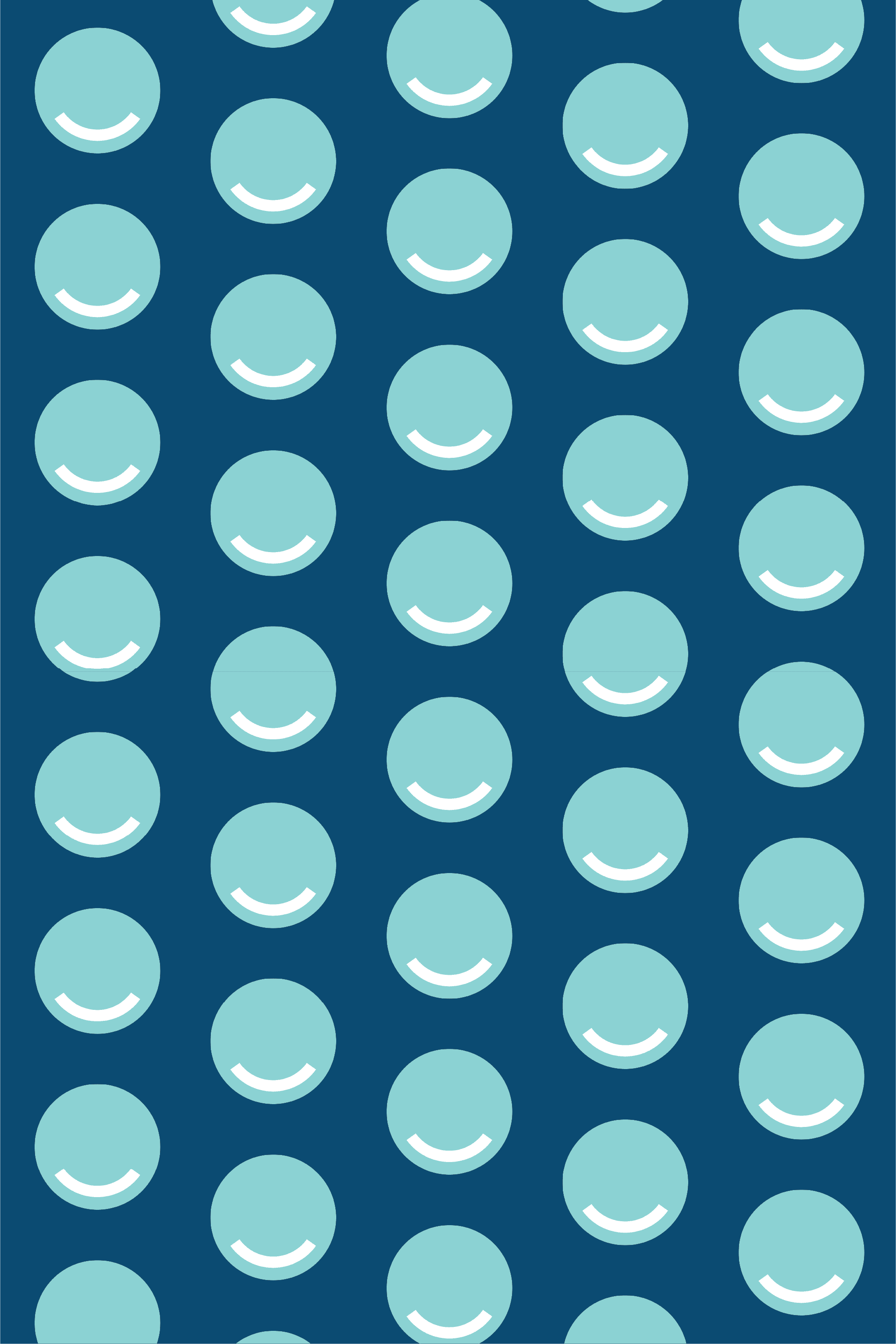 Confidential portfolio project.