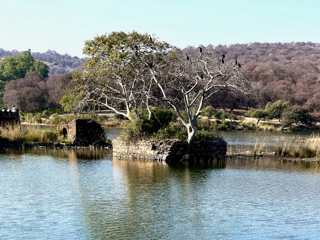 A lake with a few ruins in it.