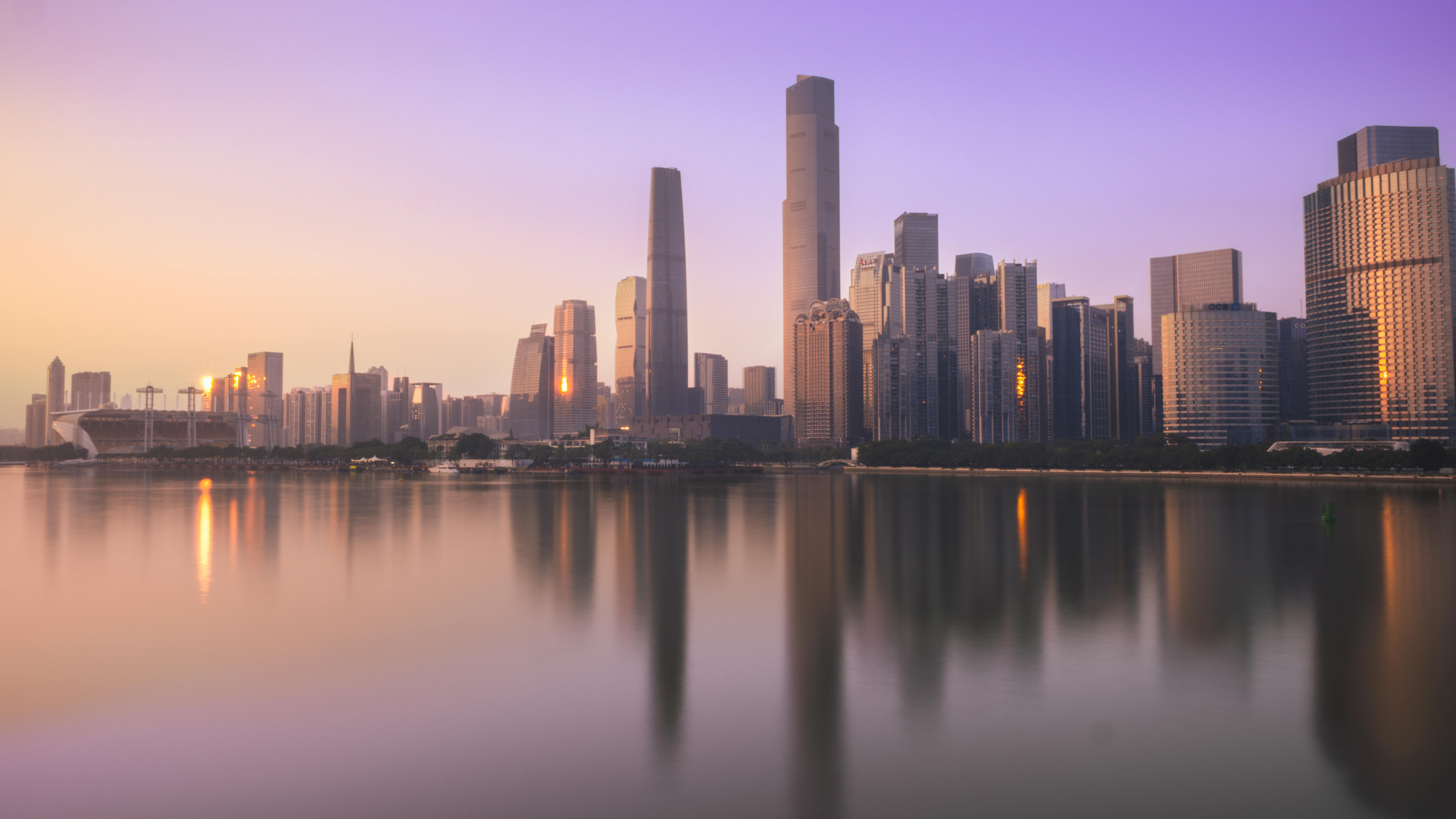 red flowers near body of water during daytime