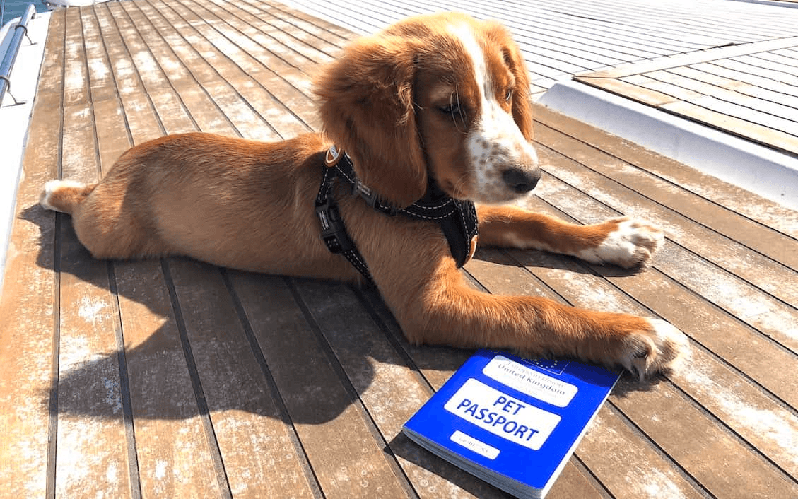 Una&Co Photo Transport