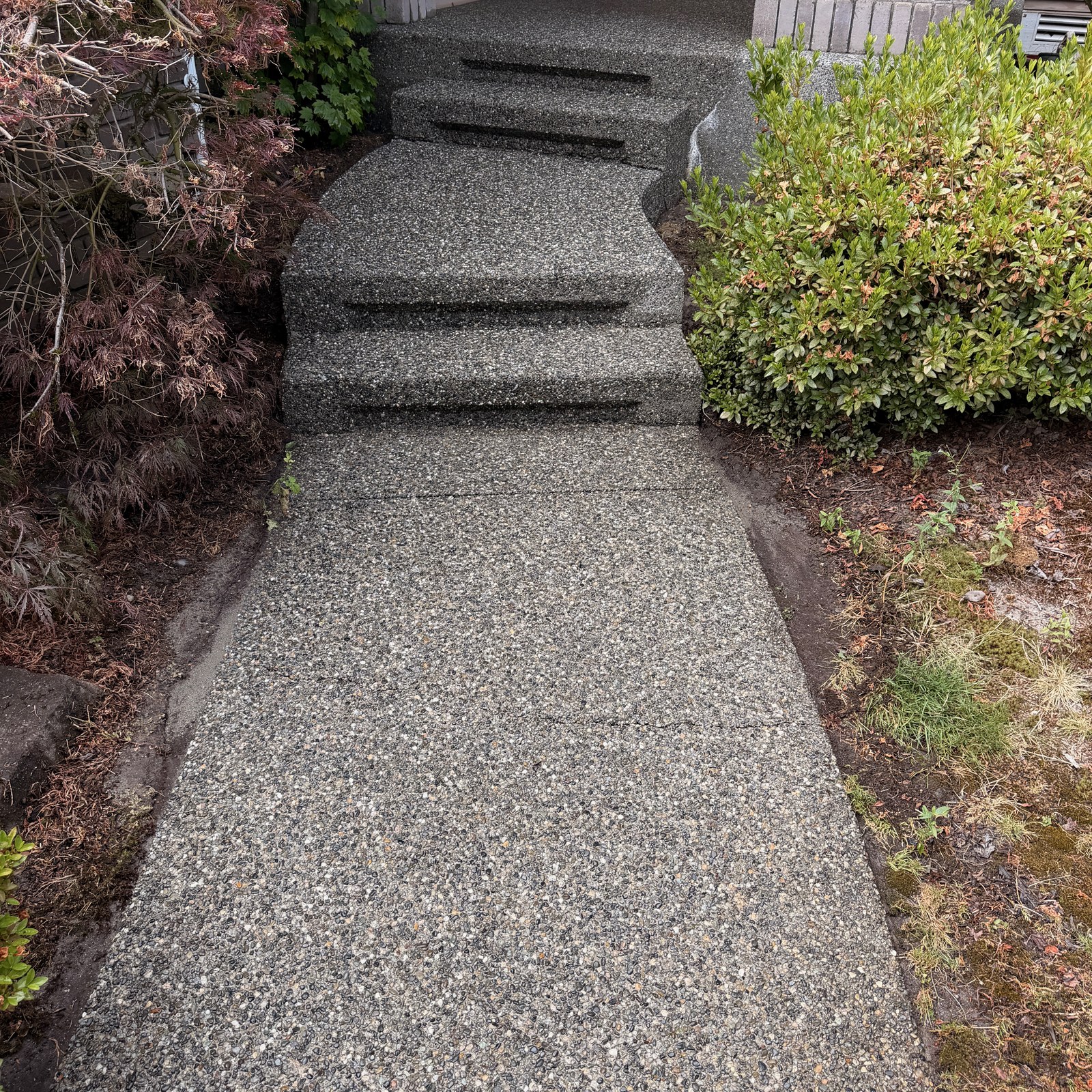 After: front walkway & steps pressure washing by Peterson Property Services in Bothell, WA