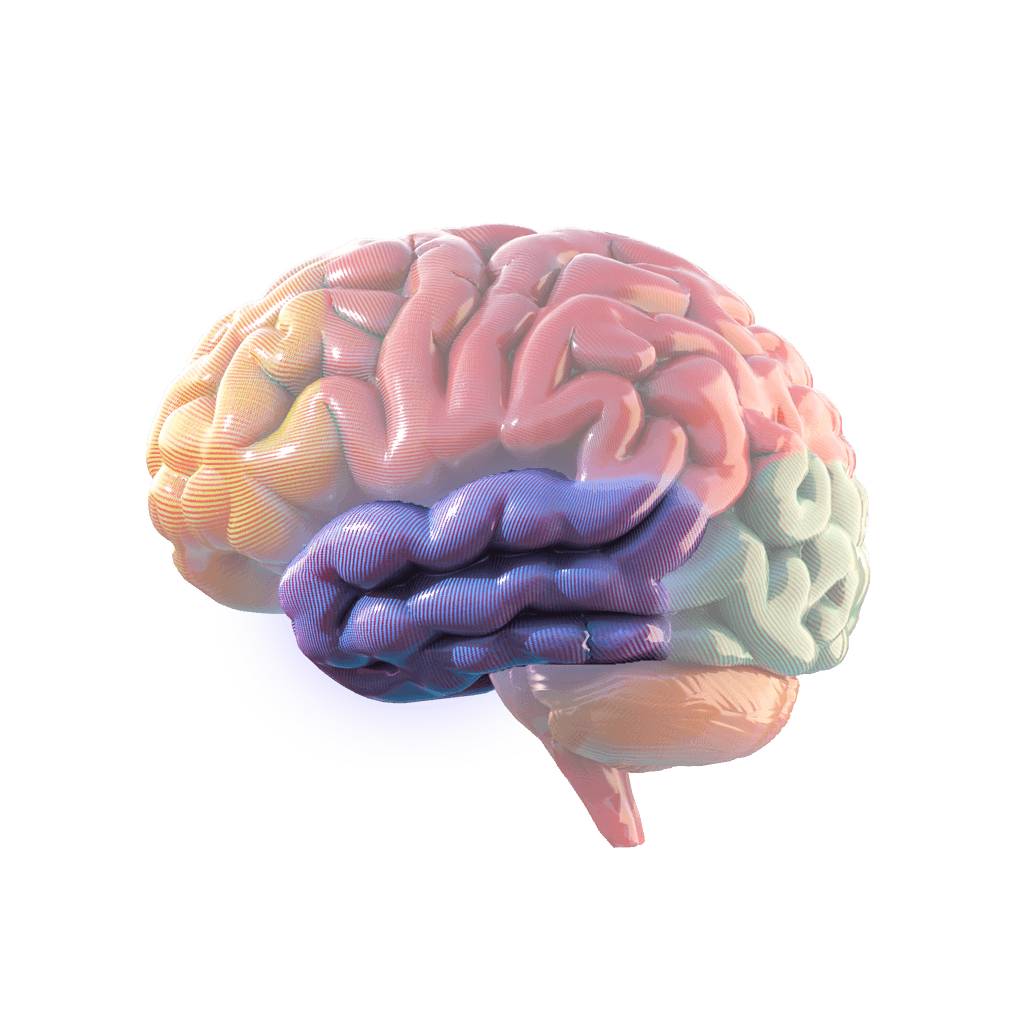What Are Brainwaves & How to Read a Brain Map | Myndlift