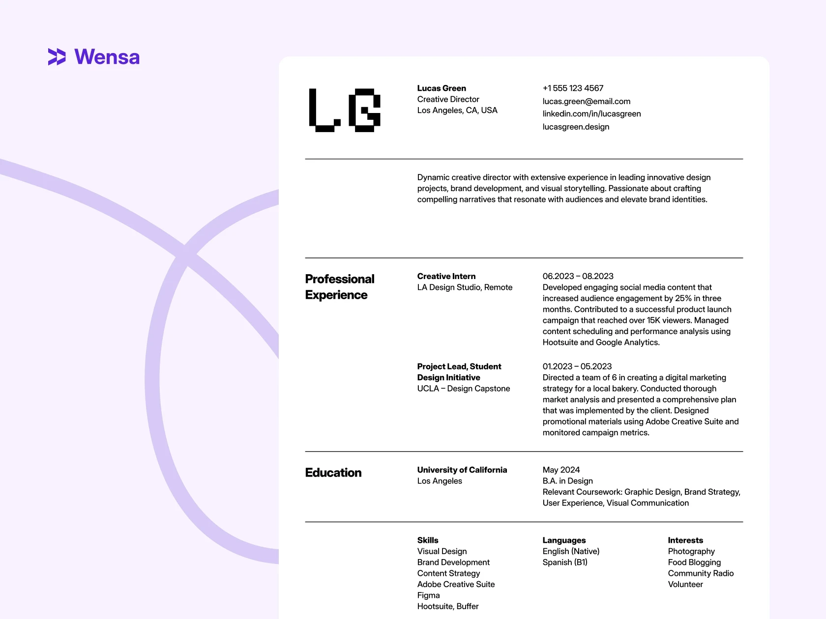 chronological resume example showing clear career progression