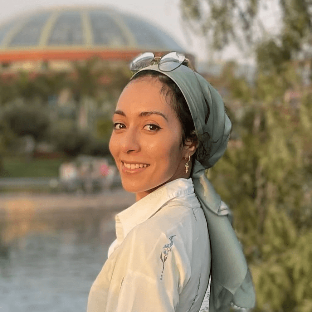 Goran Babarogic Product UX Designer