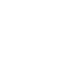 Company logo that hired professional