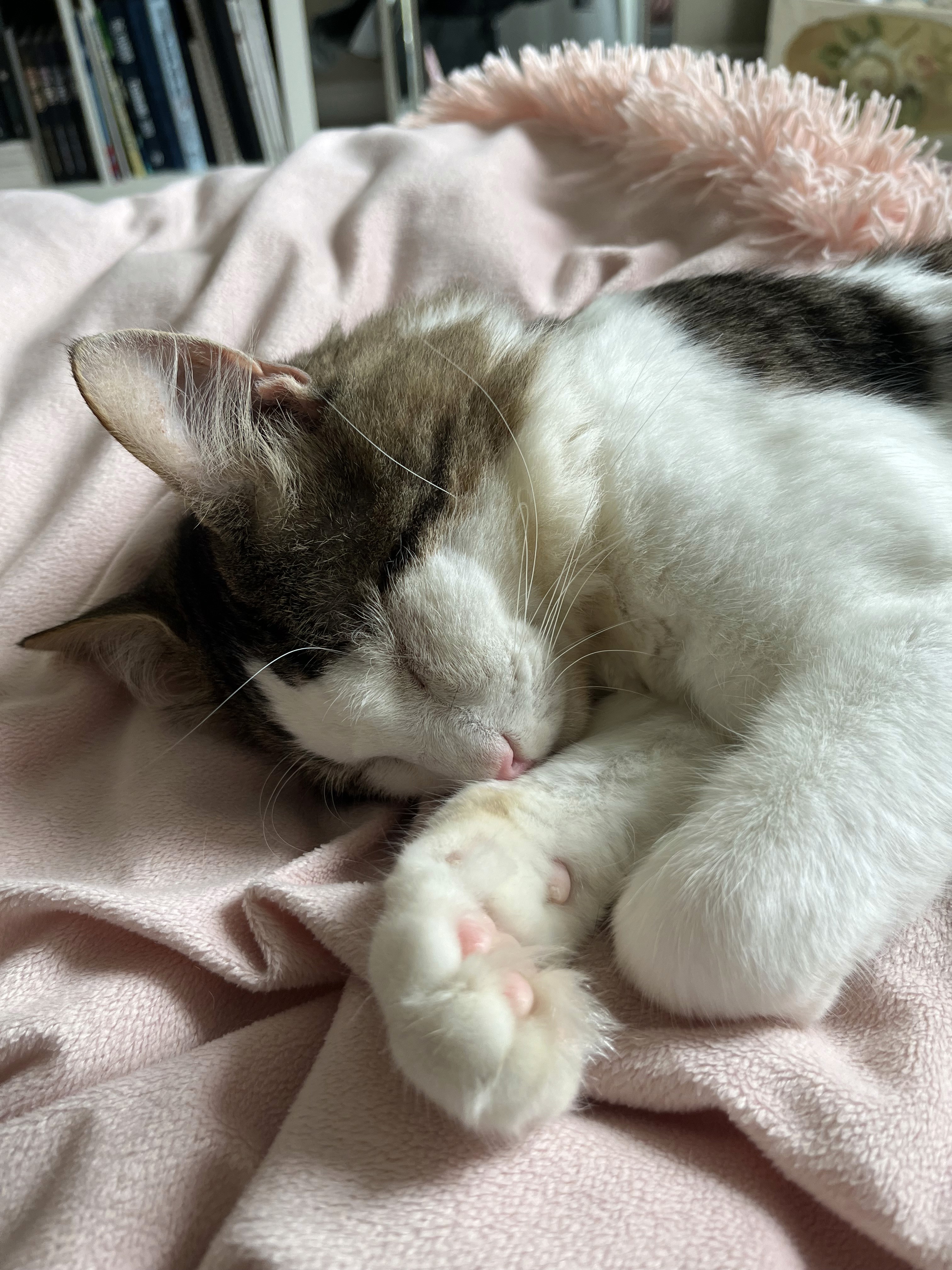 Juno