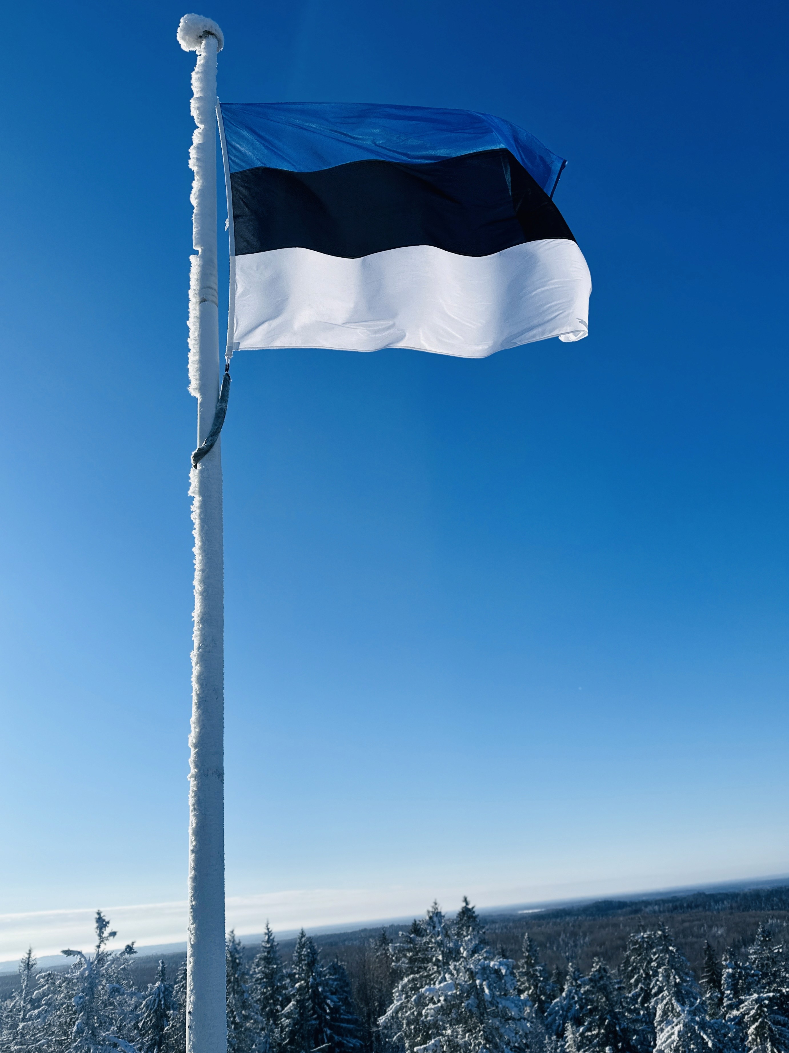 Eesti lipp Suure Munamäe tipus