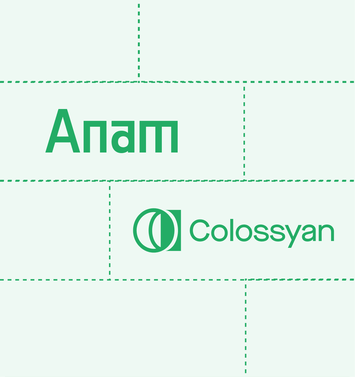 Anam vs colossyan comparison and review