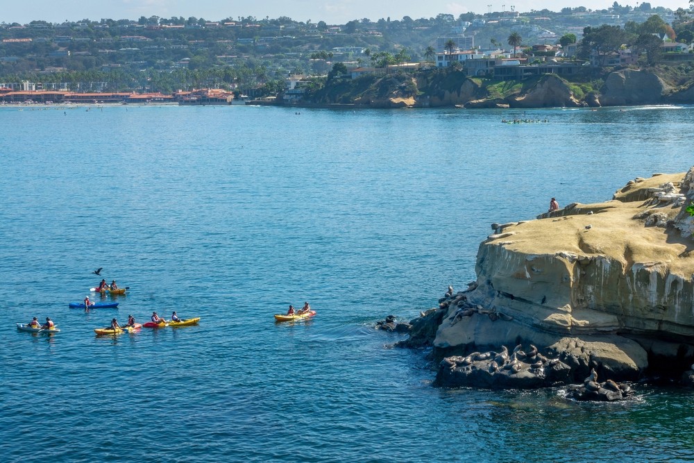 Aerial view of people kayaking in Monterey Bay
