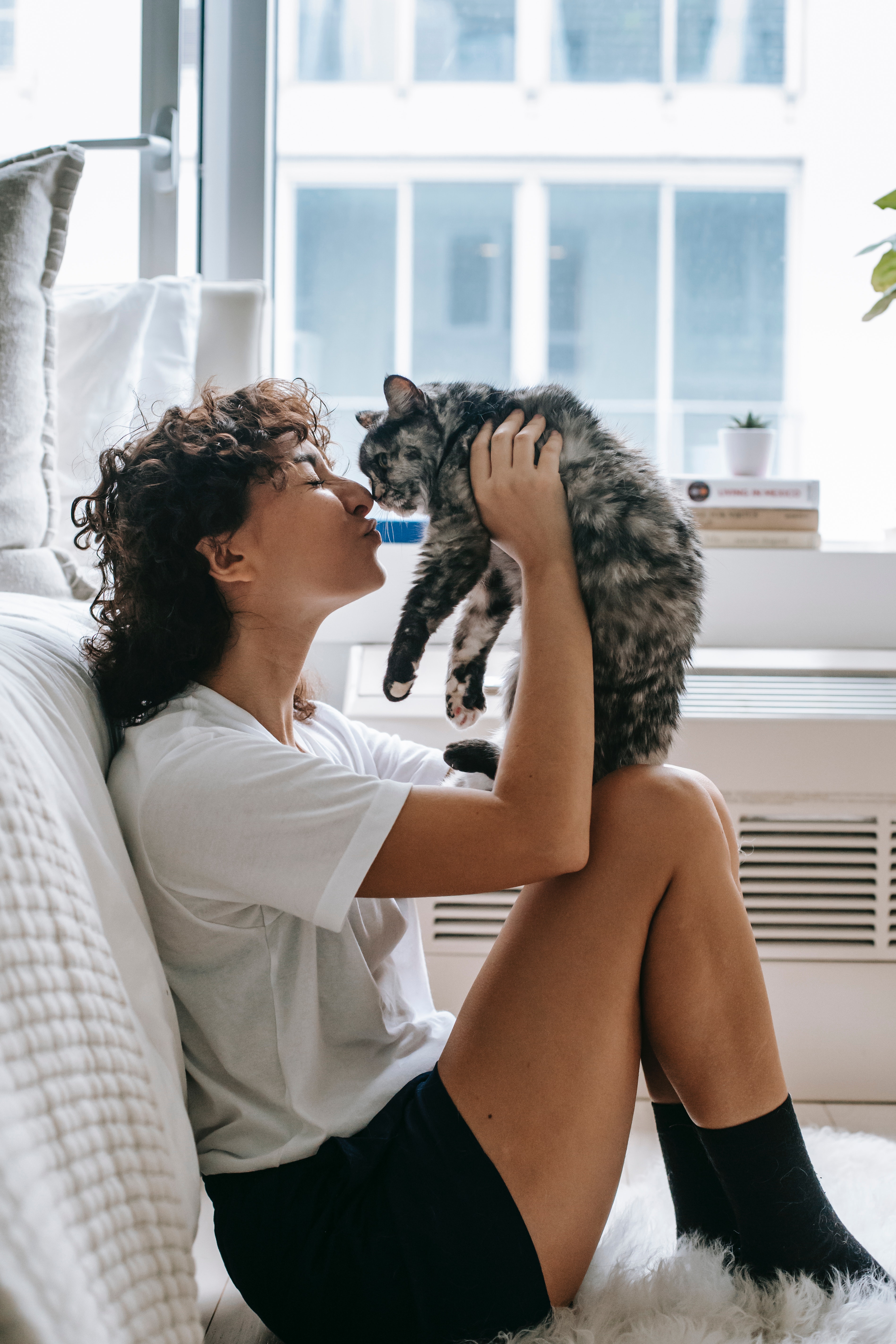 Find a cat sitter via Charly Cares