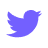 Twitter Icon