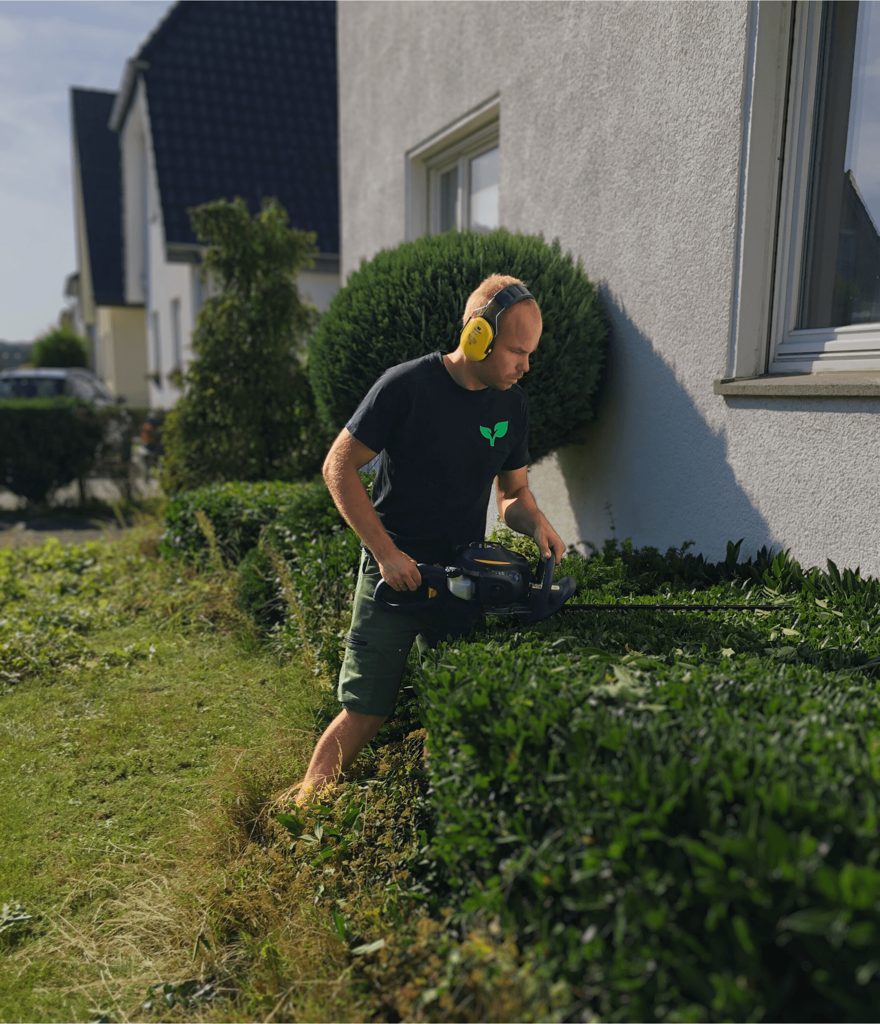 Bild von einem Mann der eine Hecke schneidet