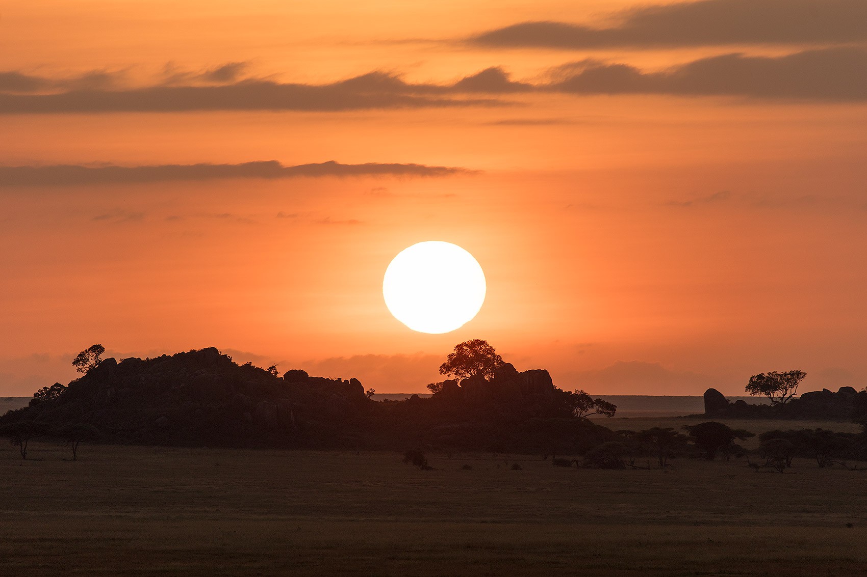 Girl wear an aesthetic black suit