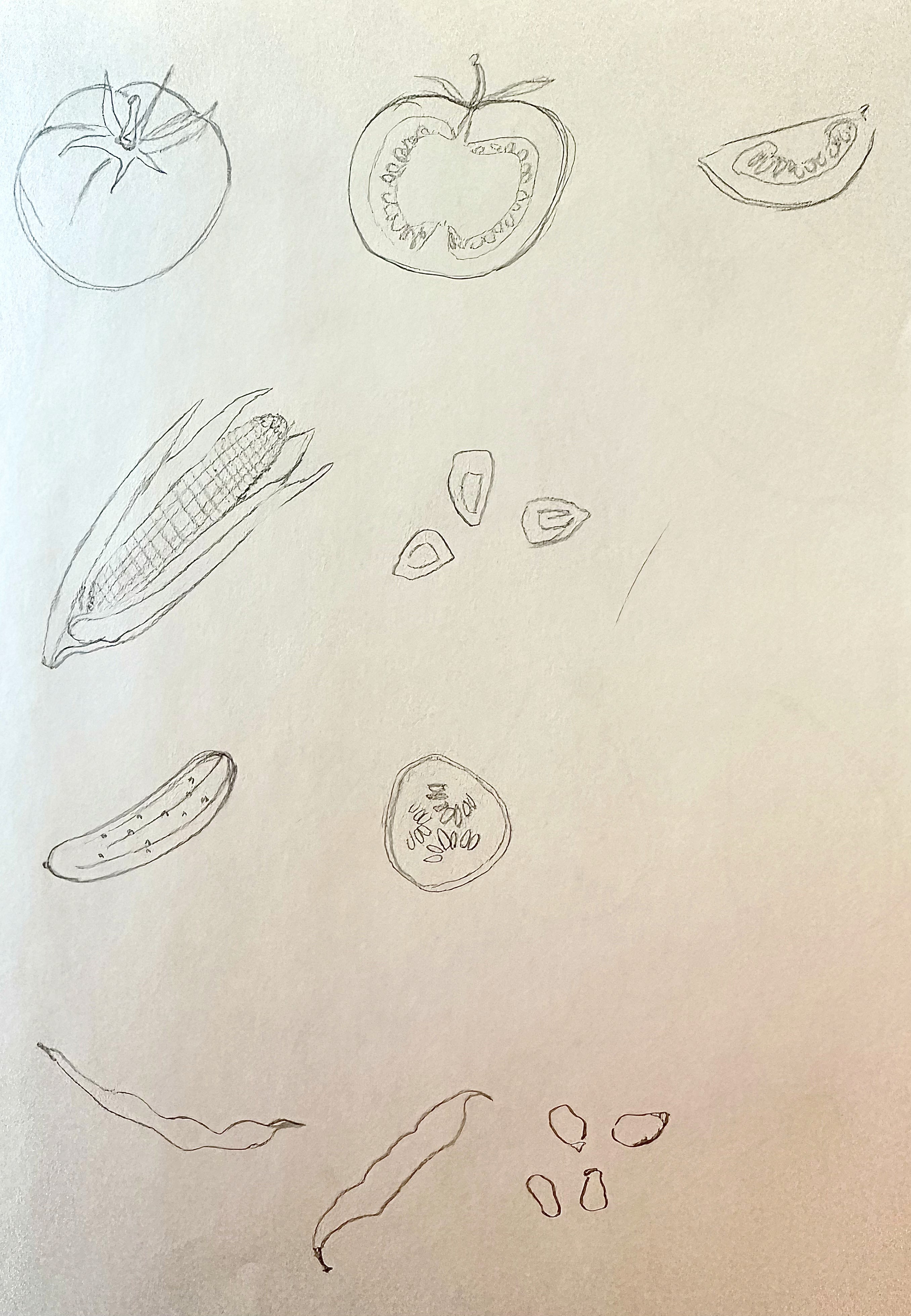 fregetables sketches page 1