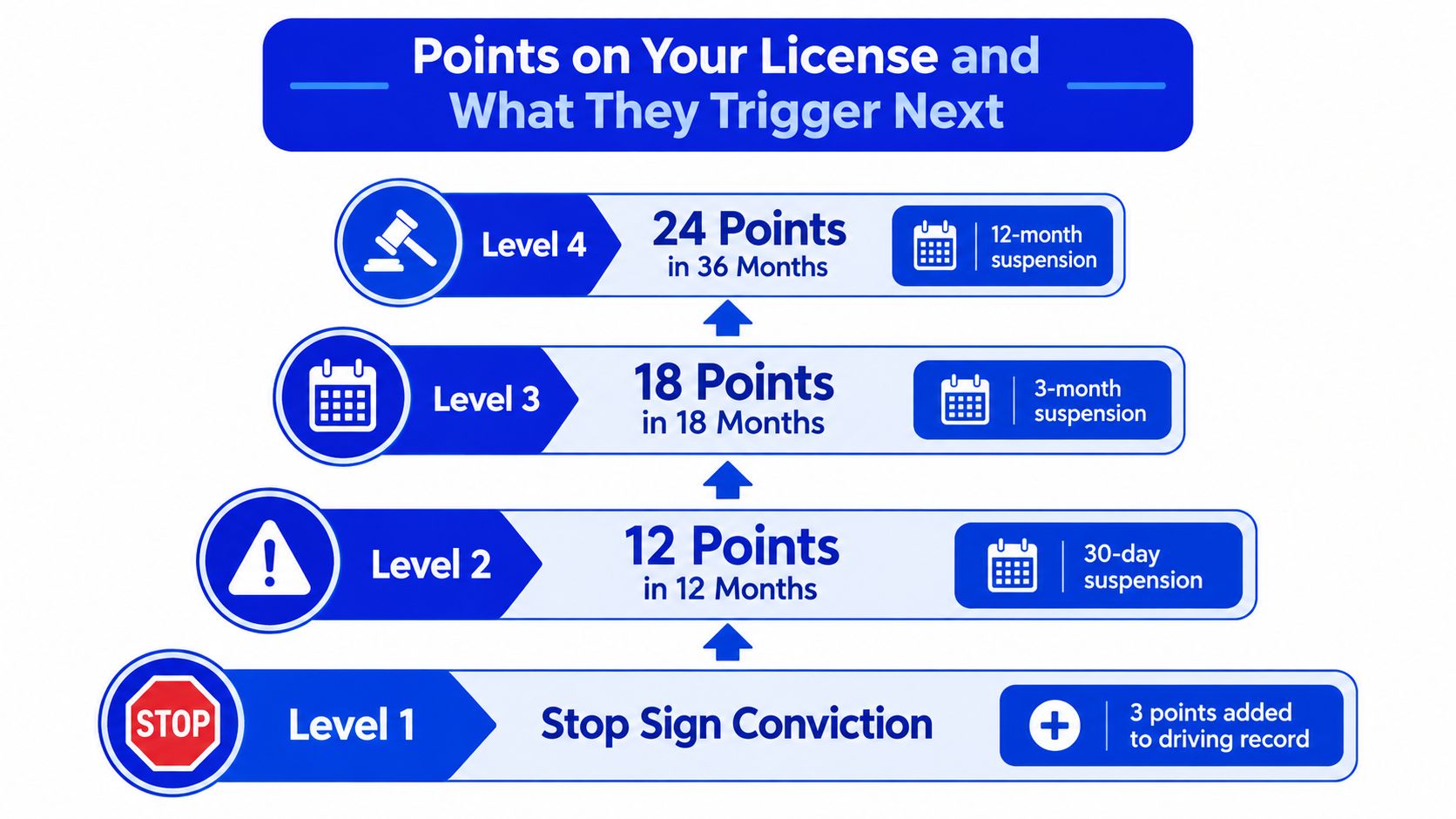 A flow chart illustrating how points on a driver's license lead to various suspension levels and penalties.
