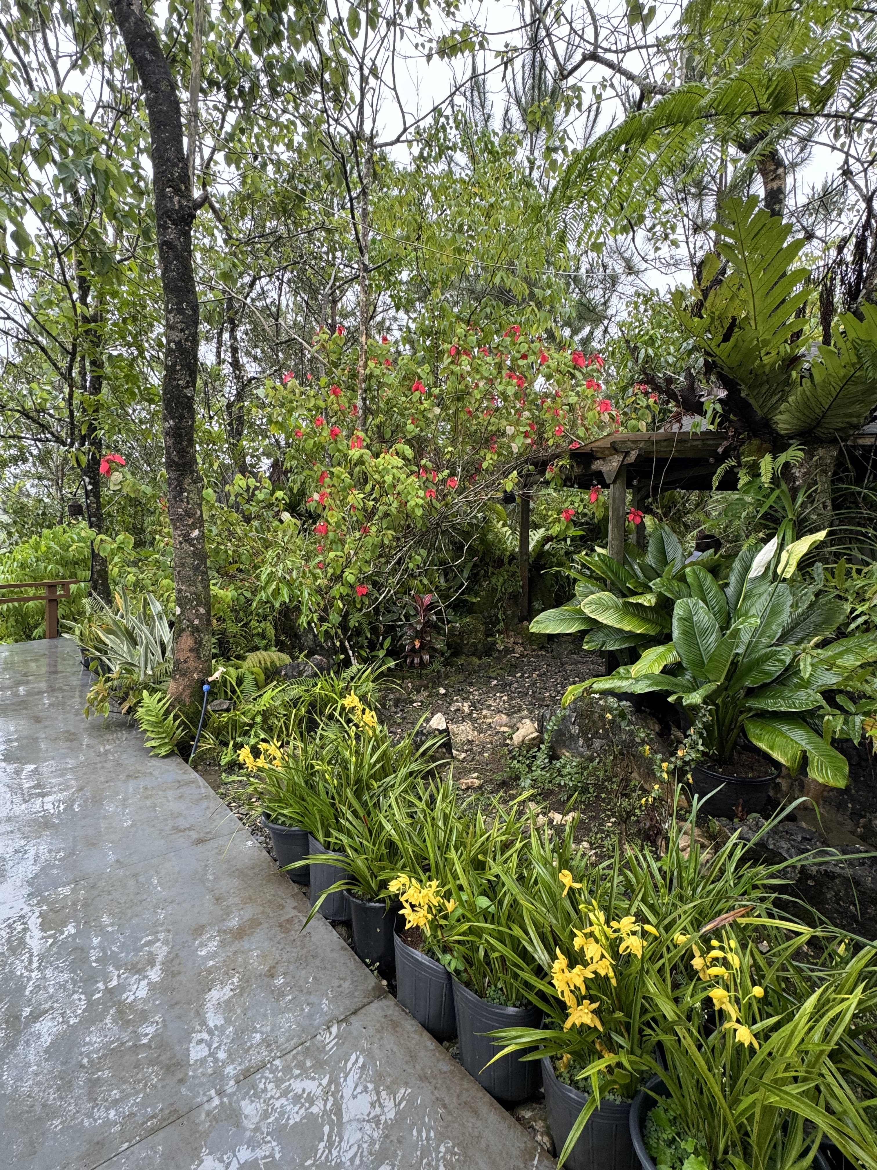Garden picture | 1 Hectare Resort For Sale in Davao City | MTO Realty
