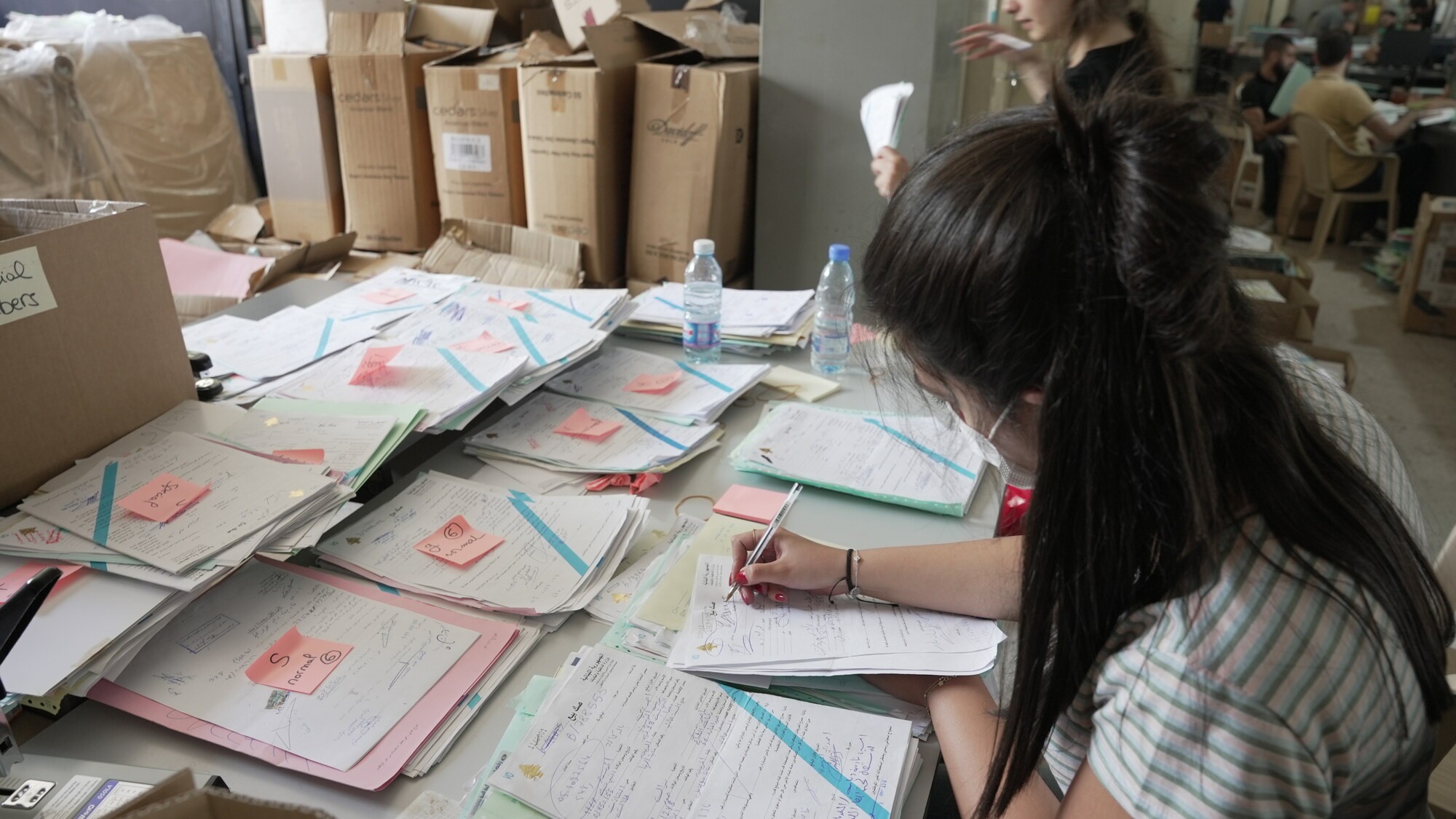 A Youth4Governance volunteer supporting with archiving in Lebanon's Vehicle Registration Office