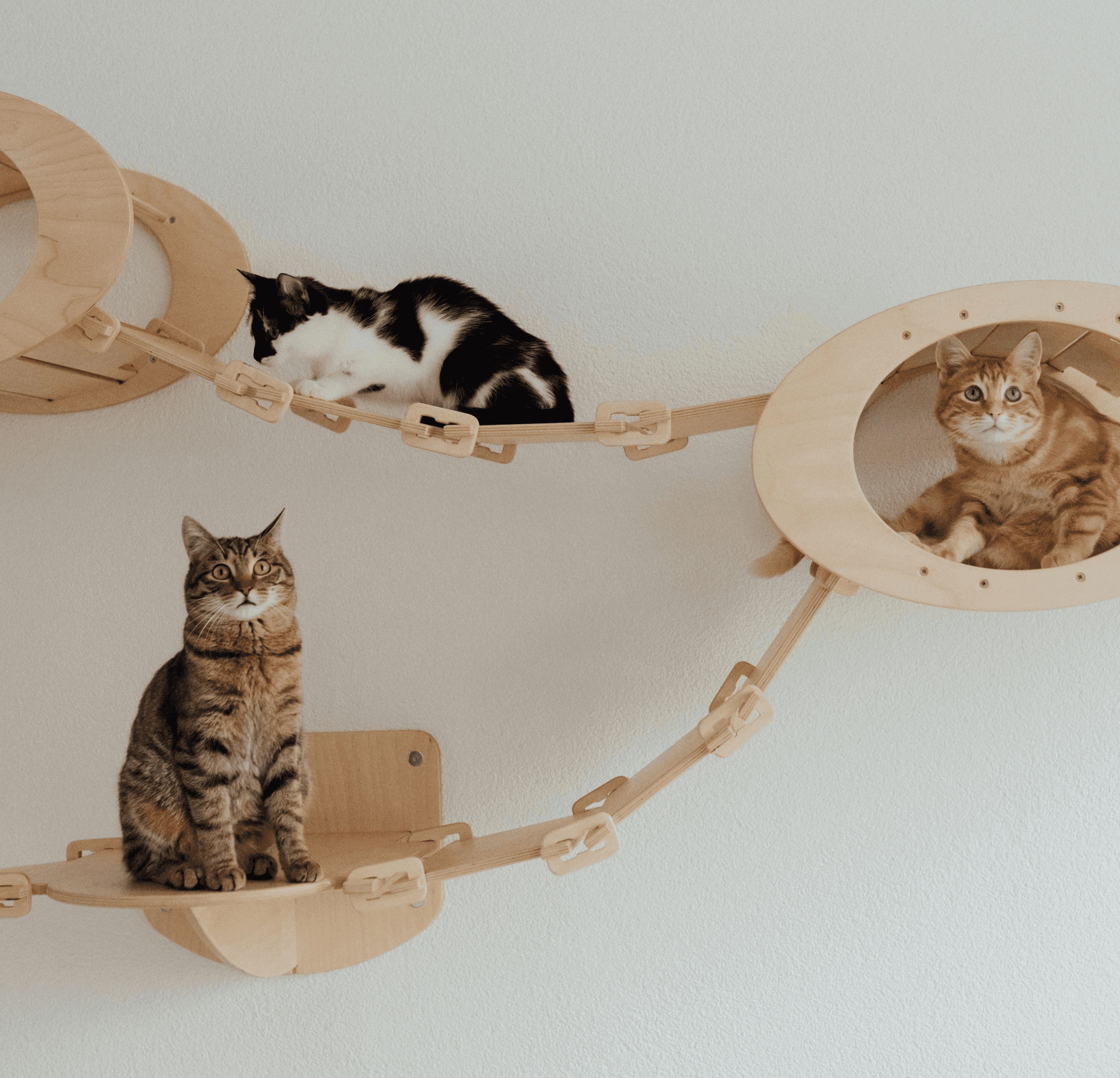 Close-up of hands adjusting green, cream, and orange Trailblaze Runner sneakers with bold sole design, worn on a textured red track surface.