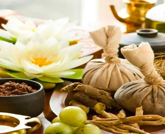 Ayurvedic-herbs-image