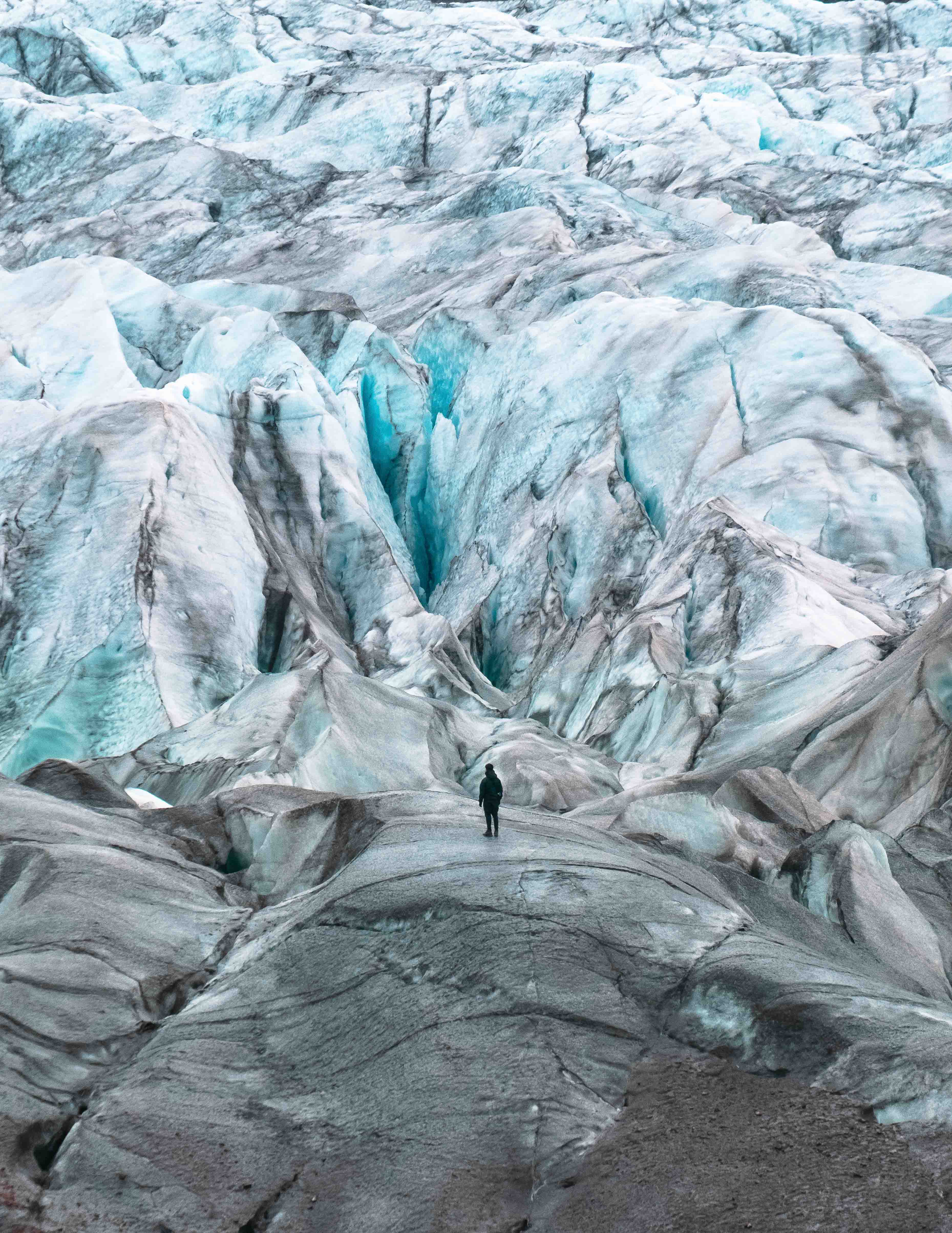 Commercial & Branding