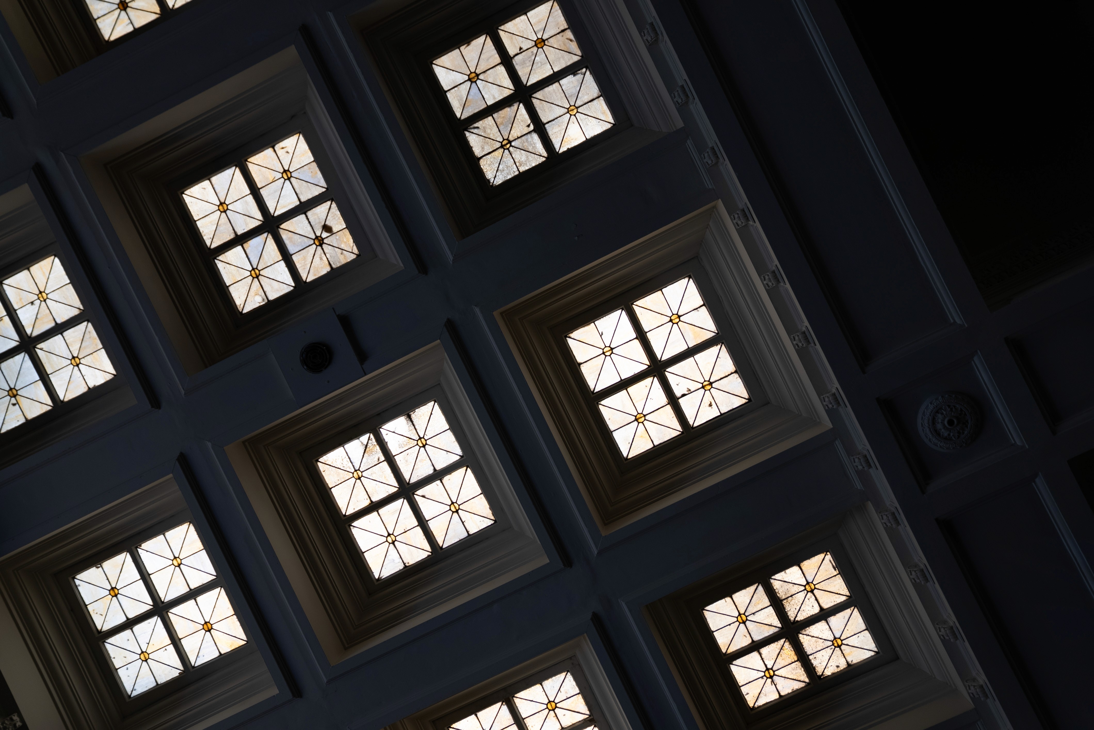 Profile portrait with natural lighting featuring long blonde hair